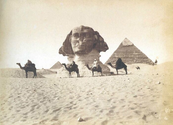 Vintage photo of the Great Sphinx and pyramids in the desert with camels, an intact object of history.