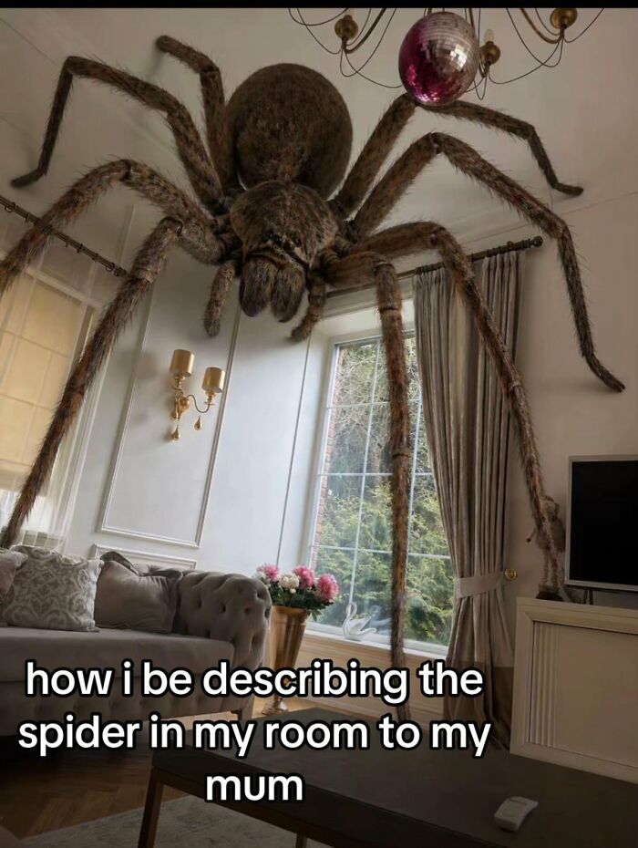 A cringe image of a giant spider Photoshopped onto a living room ceiling, which might cause physical pain.