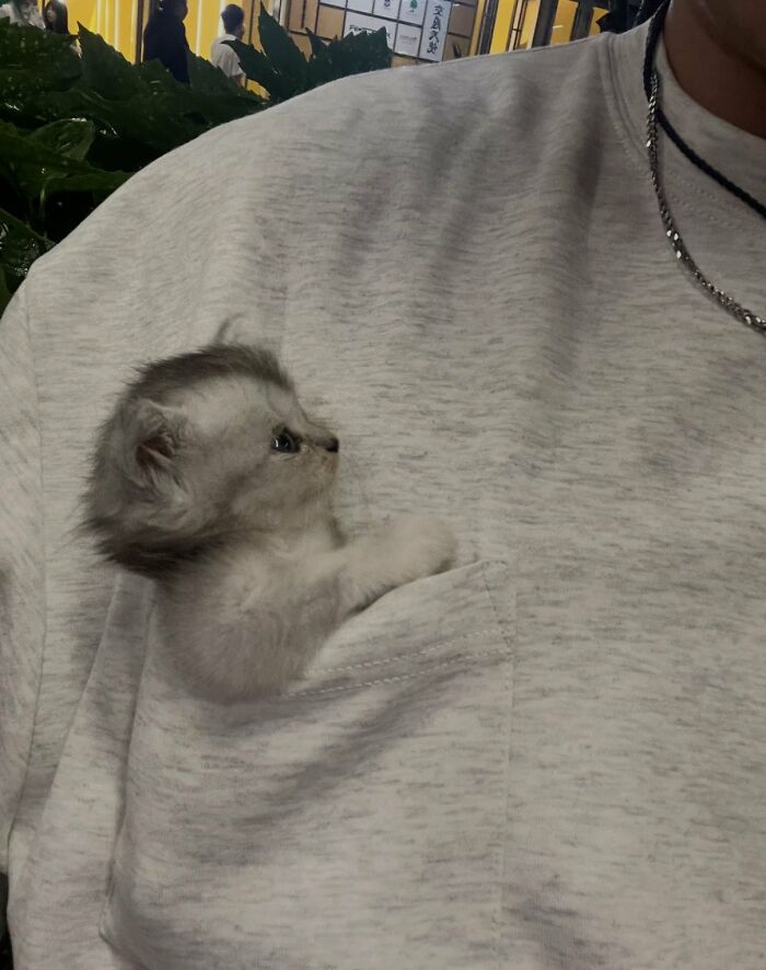 This X Page With Over A Million Followers Shares The Internet’s Most Wholesome Animal Photos, And Here Are 60 Of The Best Ones