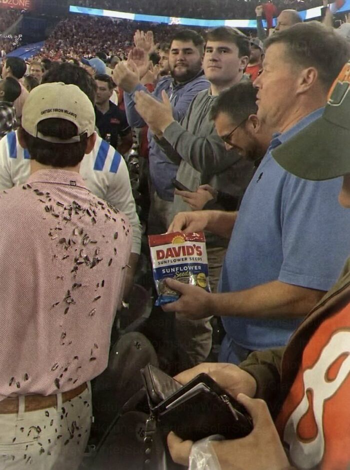 A cringe image of a man's back covered in sunflower seed shells in a stadium.