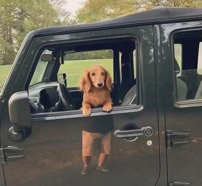 This X Page With Over A Million Followers Shares The Internet’s Most Wholesome Animal Photos, And Here Are 60 Of The Best Ones