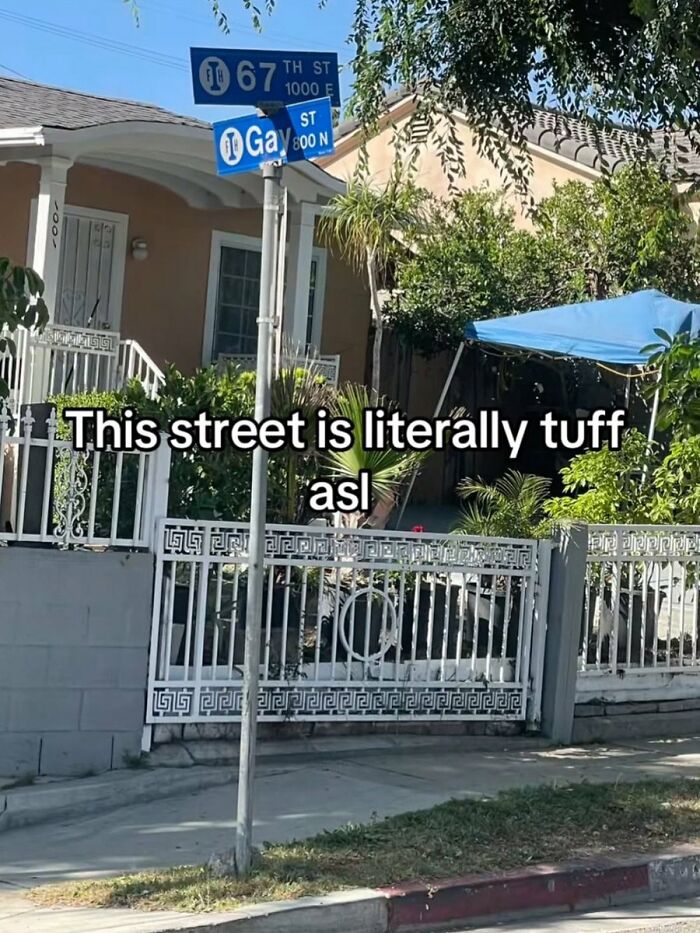 A cringe image of a street sign pointing to Gay Street, with a house and trees in the background.