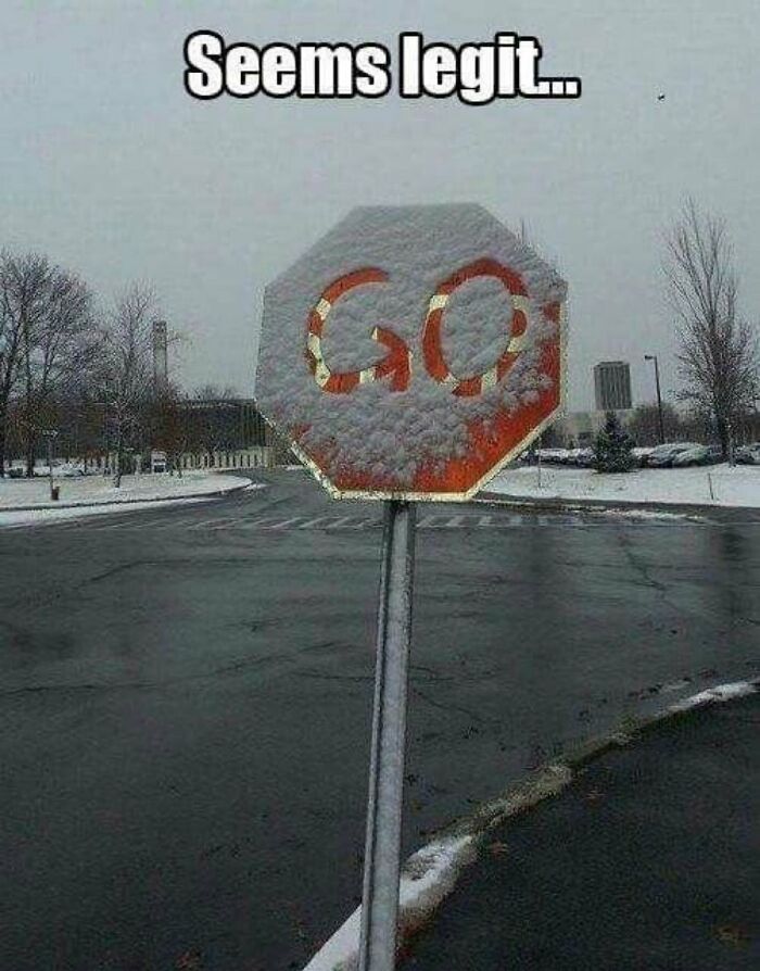 A cringe image of a stop sign covered in snow, making it look like it says GO instead of STOP, with text saying Seems legit...