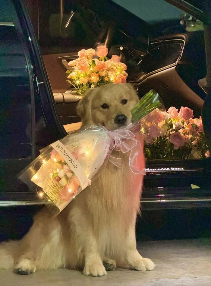This X Page With Over A Million Followers Shares The Internet’s Most Wholesome Animal Photos, And Here Are 60 Of The Best Ones