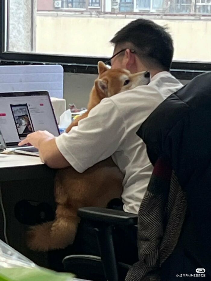 This X Page With Over A Million Followers Shares The Internet’s Most Wholesome Animal Photos, And Here Are 60 Of The Best Ones