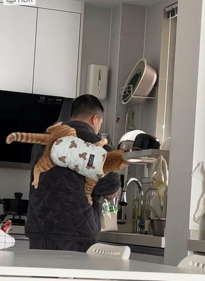 This X Page With Over A Million Followers Shares The Internet’s Most Wholesome Animal Photos, And Here Are 60 Of The Best Ones