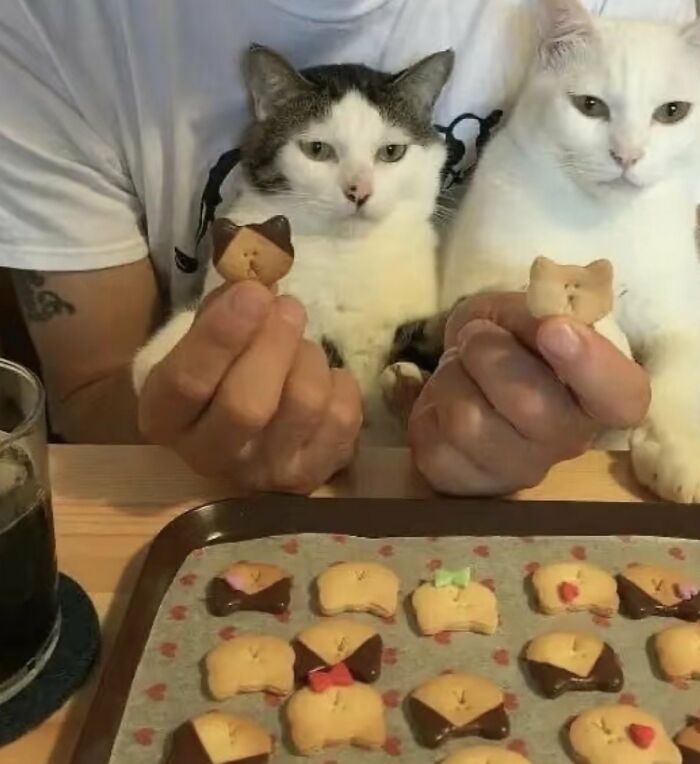 This X Page With Over A Million Followers Shares The Internet’s Most Wholesome Animal Photos, And Here Are 60 Of The Best Ones