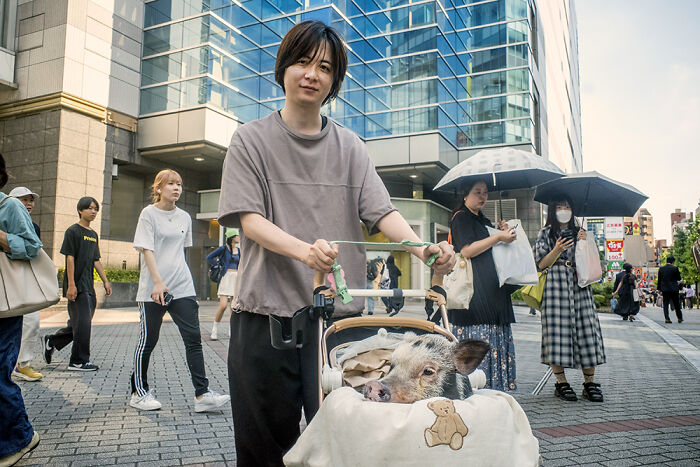 I Spent 10 Days In Japan Capturing Cinematic Street Moments (30 New Photos)