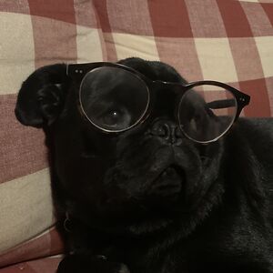 2csrd9p5hj avatar