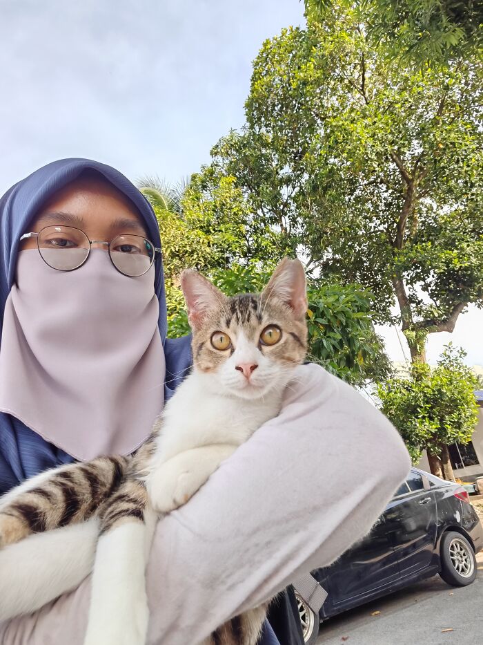 A person holding a domestic short-haired cat with tabby and white fur, representing an organization's local action for street cats.