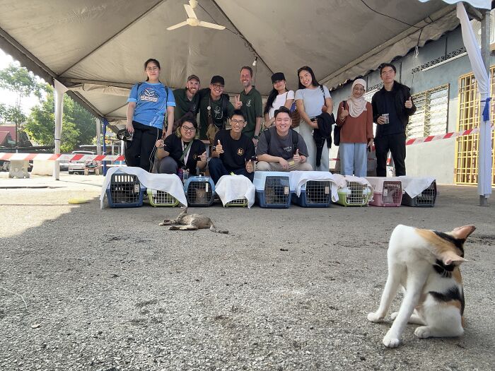 A group of volunteers with street cats in carriers, demonstrating their commitment to local action for feline welfare.