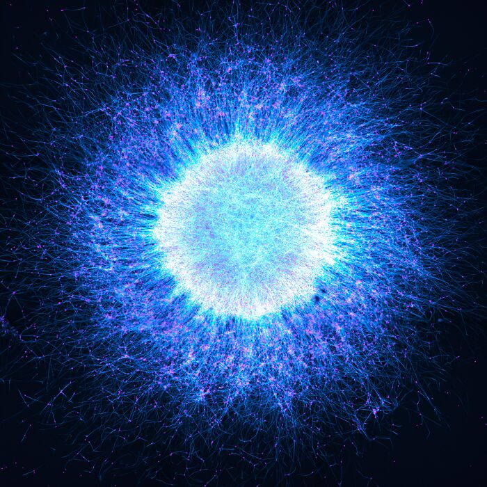 “Neuronal Cosmos” By Katie Holden