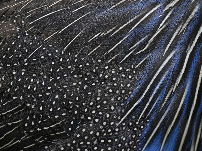 This Photographer Captures The Hidden Patterns That Make Nature Look Like Art (20 Images)
