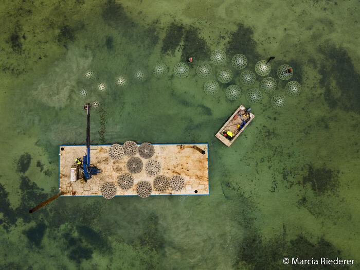 Aerial view of coral reef restoration project with floating platforms, coral modules, and boats for the Au Photo Contest.