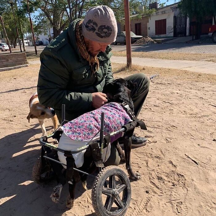 Meet Eduardo Groh Riermersma, The Man Who Devoted His Life To Caring For More Than 600 Rescued Dogs At Refugio El Montecito