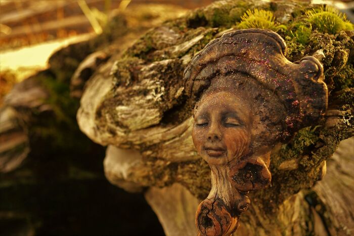 This Artist Creates Driftwood Art That Looks Like Nature Came To Life (28 New Pics)