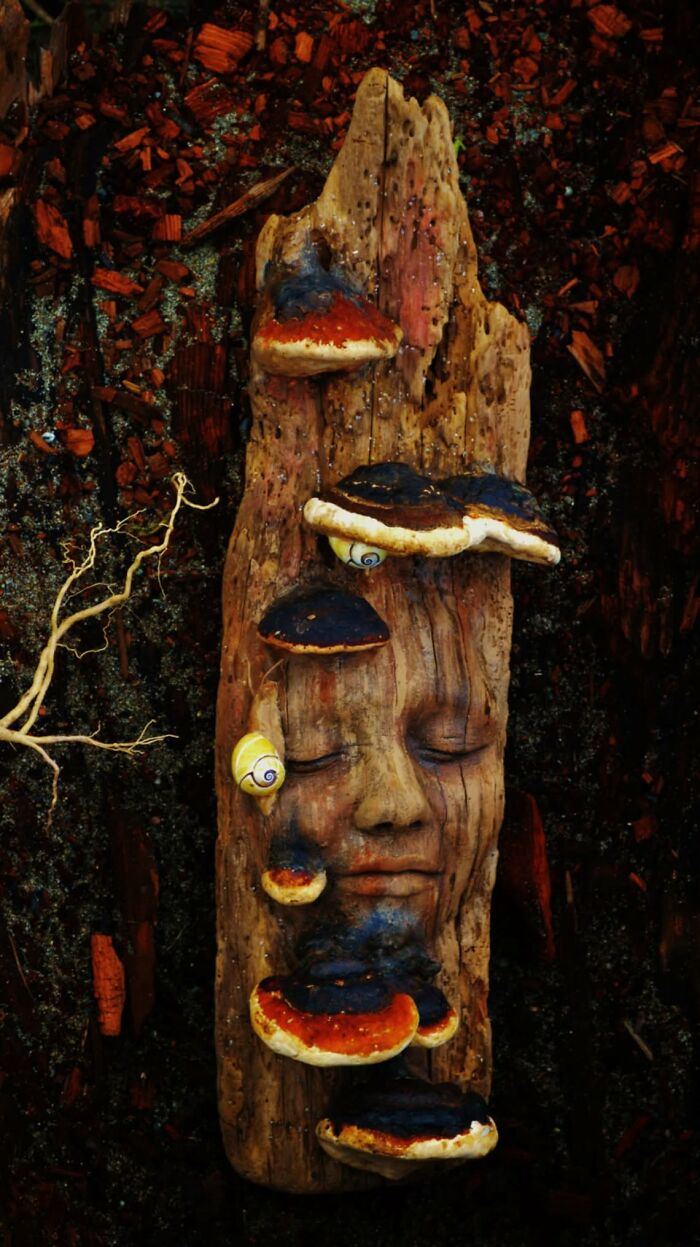 This Artist Creates Driftwood Art That Looks Like Nature Came To Life (28 New Pics)