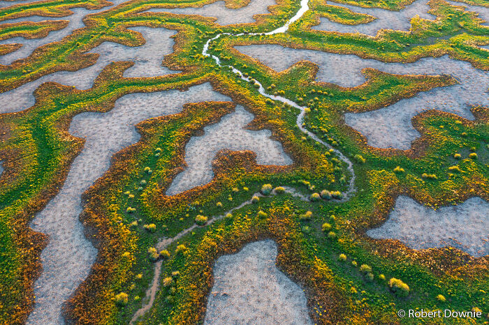 An aerial landscape showing a winding stream through green and yellow marshlands, featured in the Au Photo Contest.