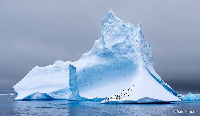 A large iceberg with a colony of penguins on a lower ledge, captured for the Au Photo Contest.