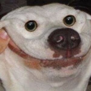 elliott_3 avatar
