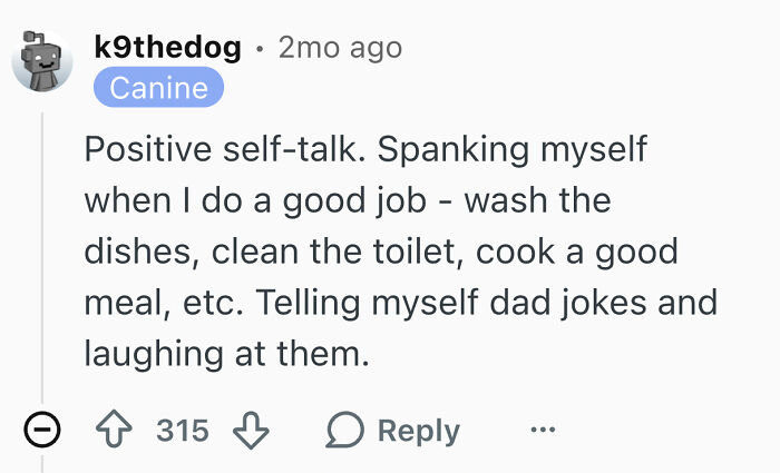 A Reddit comment about single men doing disturbing things while living alone, mentioning positive self-talk and spanking for good deeds.