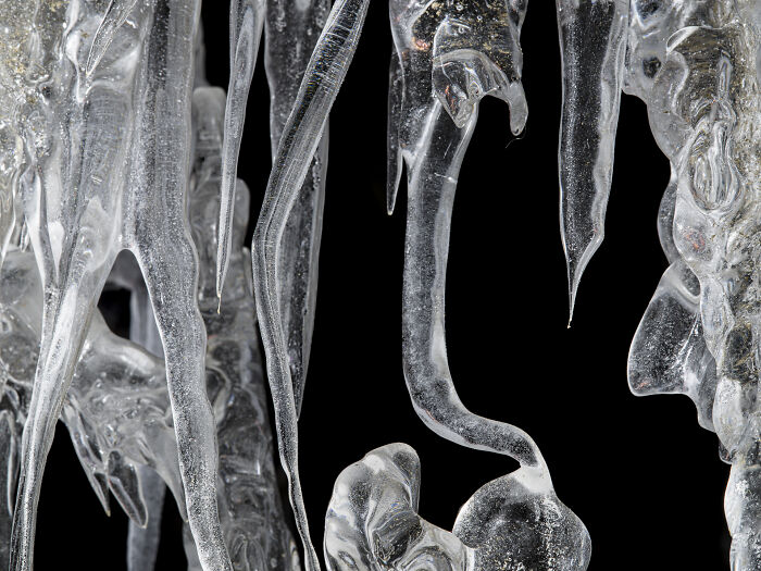 This Photographer Captures The Hidden Patterns That Make Nature Look Like Art (20 Images)