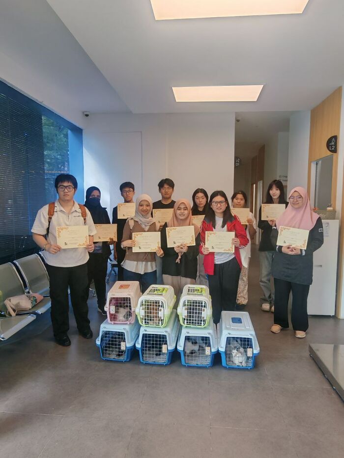 People with certificates and several cat carriers, symbolizing an organization helping street cats through local action.