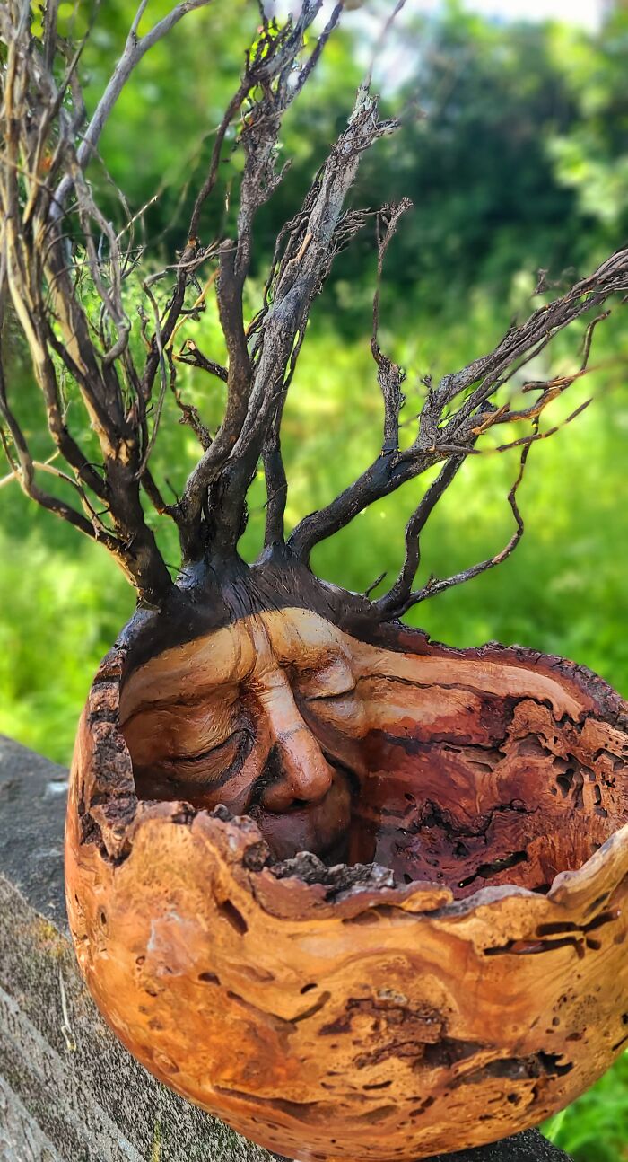 This Artist Creates Driftwood Art That Looks Like Nature Came To Life (28 New Pics)