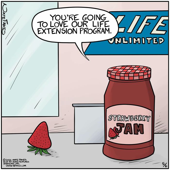 This Cartoonist Gives Everyday Objects A Hilariously Human Personality In These Clever Comics (35 Pics)