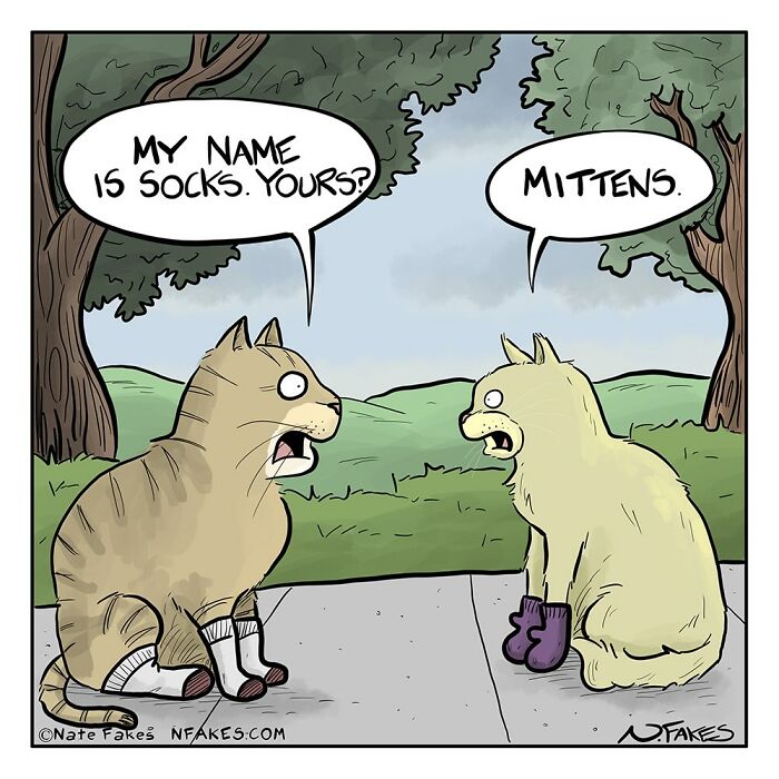 This Cartoonist Gives Everyday Objects A Hilariously Human Personality In These Clever Comics (35 Pics)