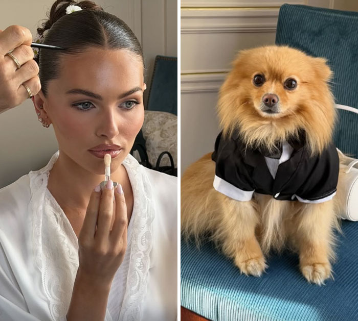 Thylane Blondeau wedding preparation, applying lip gloss while a small dog in a tuxedo looks on.