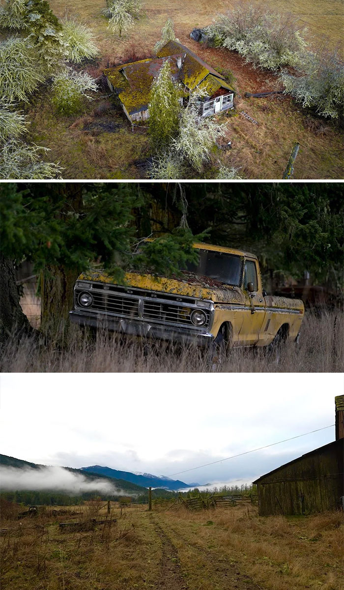 Moss-covered abandoned house and rusty yellow Ford truck in nature