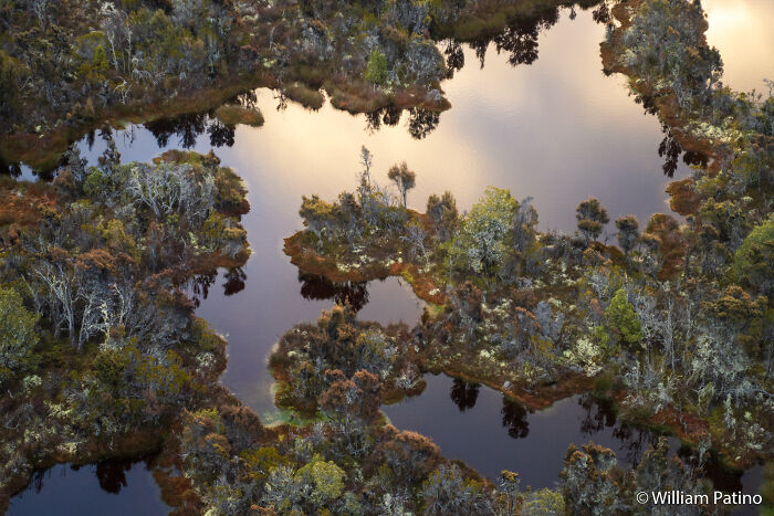 Aerial view of a complex water system with small islands, showcasing the beauty in the Au Photo Contest.