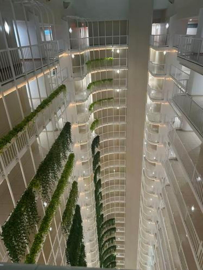 High atrium of a building with multiple levels and hanging plants, creating a haunting liminal space.