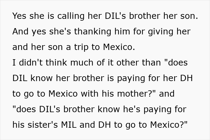Text explaining the MIL's false claims about her son paying for a trip to Mexico, connecting to the drunken tantrum.