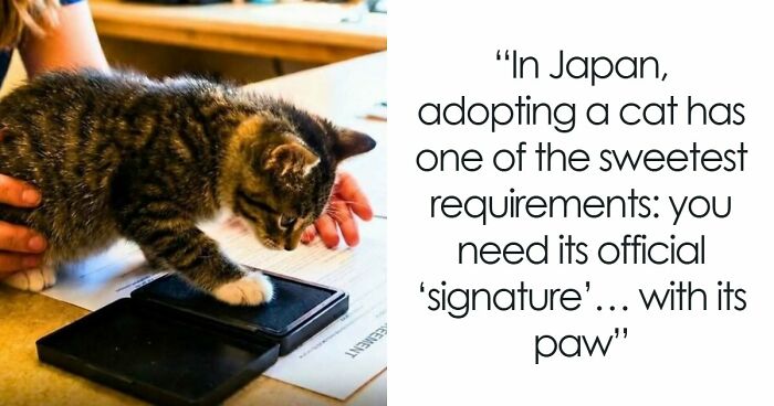 “Stands Like A Human”: 35 Surprising Facts And Stories About Animals That Might Teach You Something New