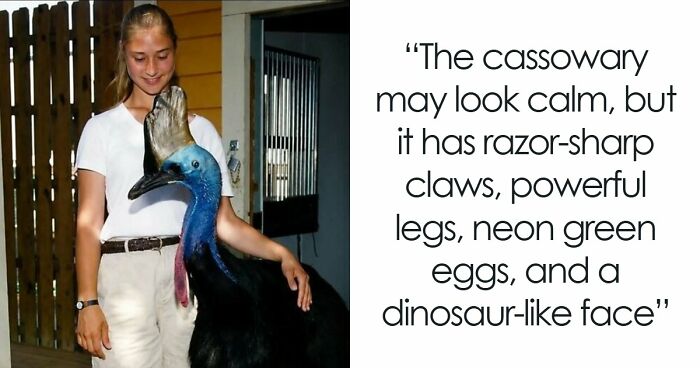 “Stands Like A Human”: 35 Surprising Facts And Stories About Animals That Might Teach You Something New