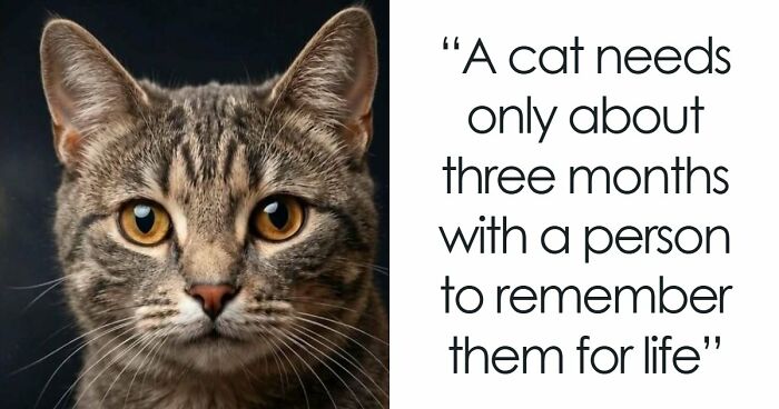 “Stands Like A Human”: 35 Surprising Facts And Stories About Animals That Might Teach You Something New