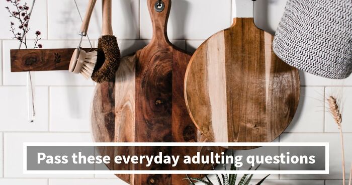 “What Does Your Life Skills Score Say About You?”: 15 Questions To Test Your Adulting IQ