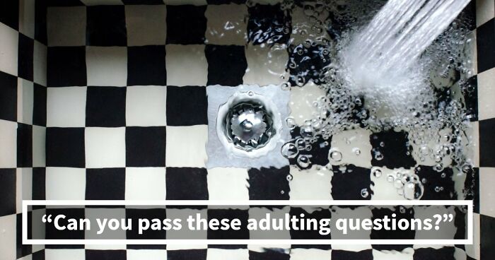 “What Does Your Life Skills Score Say About You?”: 15 Questions To Test Your Adulting IQ