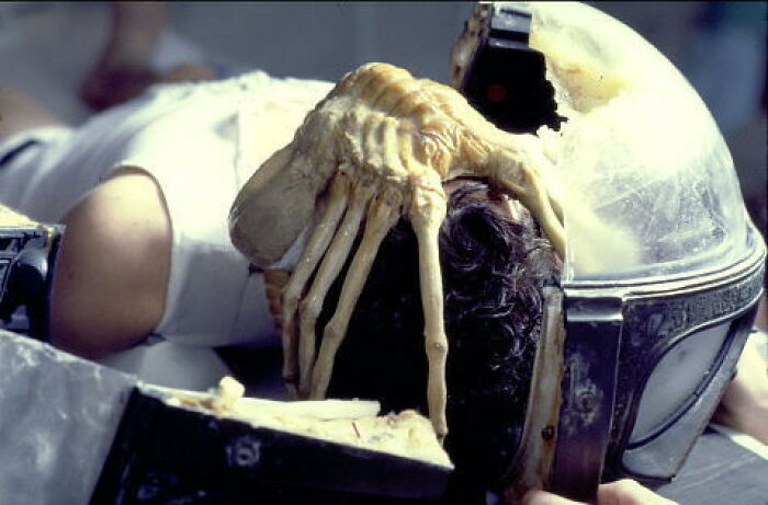 A facehugger from Alien attached to a person's head, an experience people still can't explain.