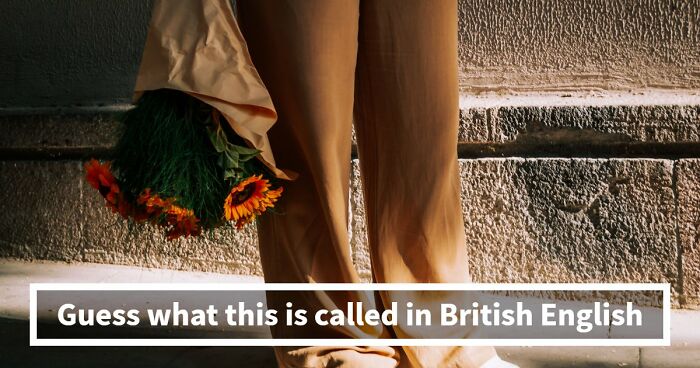 “How High Is Your English Language IQ?”: Find Out In This 20-Question UK Vs US Vocabulary Test