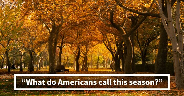 “How High Is Your English Language IQ?”: Find Out In This 20-Question UK Vs US Vocabulary Test