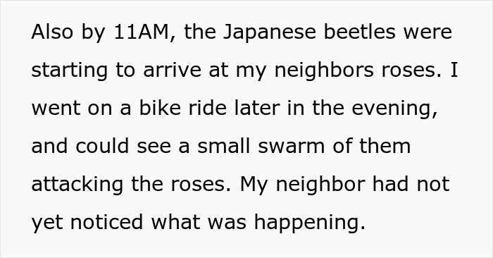 Text detailing Japanese beetles arriving and swarming a neighbor's rose garden, a revenge for petty acts.
