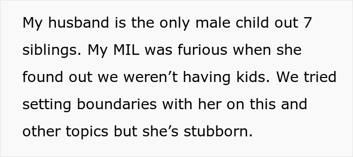 Text excerpt about MIL furious over no kids and boundary issues