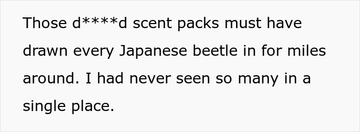 Japanese beetles drawn in by scent packs, ruining a rose garden in revenge for neighbor's petty acts.