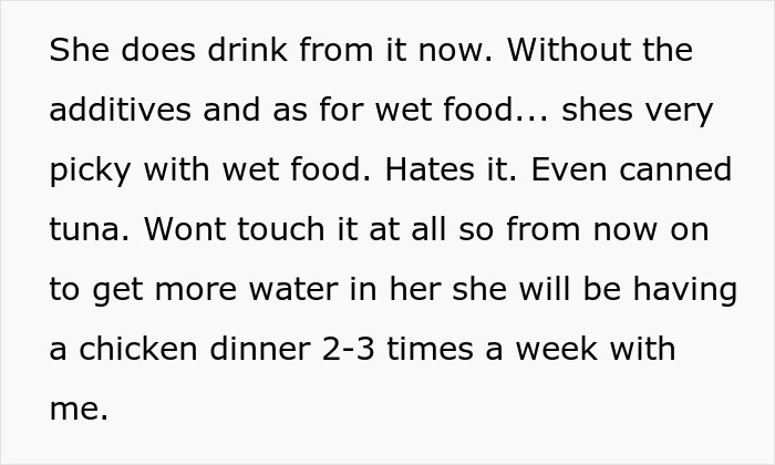 Woman Thinks Her Blind Cat Is Being Annoying, Realizes She Was Trying To Signal A Serious Problem Woman Thinks Her Blind Cat Is Being Annoying, Realizes She Was Trying To Signal A Serious Problem