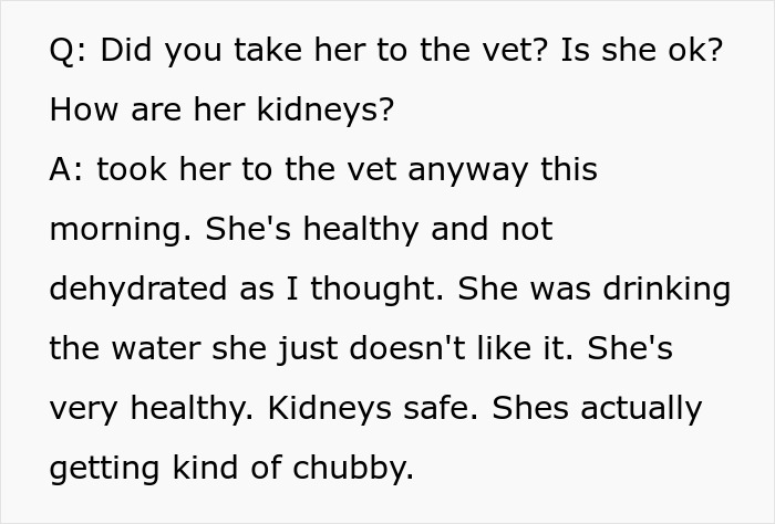 Woman Thinks Her Blind Cat Is Being Annoying, Realizes She Was Trying To Signal A Serious Problem Woman Thinks Her Blind Cat Is Being Annoying, Realizes She Was Trying To Signal A Serious Problem