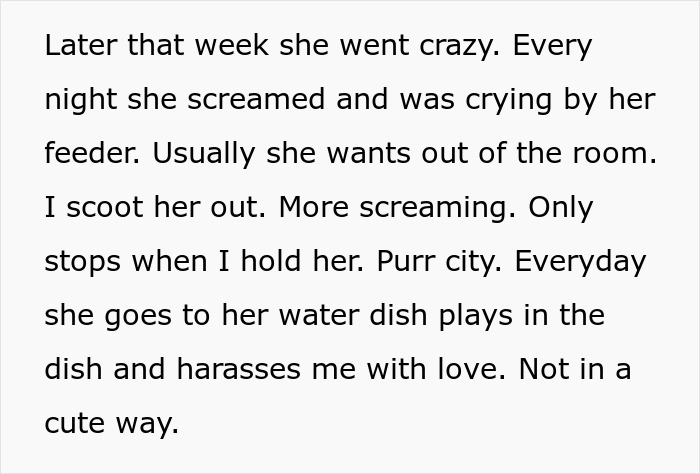 Woman Thinks Her Blind Cat Is Being Annoying, Realizes She Was Trying To Signal A Serious Problem Woman Thinks Her Blind Cat Is Being Annoying, Realizes She Was Trying To Signal A Serious Problem