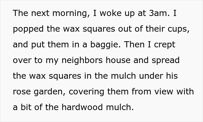 Text describing a person placing wax squares in a neighbor's rose garden mulch to attract beetles.